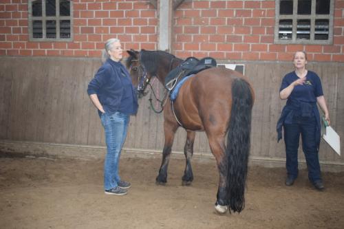 DSC 0043-Middel