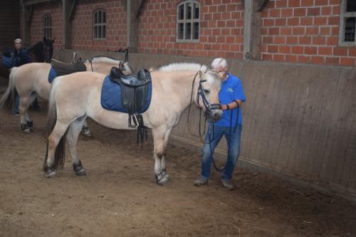DSC 0056-Middel