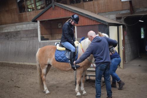 DSC 0077-Middel
